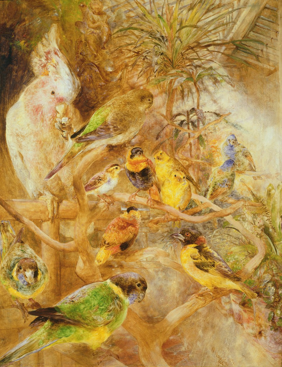 Madármadár, 1871 alkotó: William Huggins