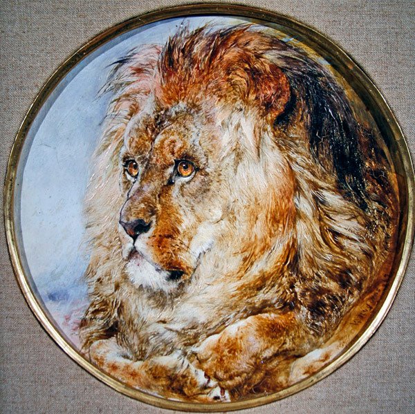 Egy oroszlán portréja alkotó: William Huggins