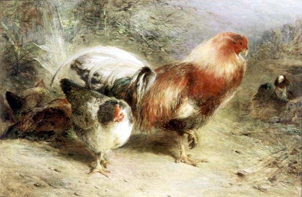 Baromfi alkotó: William Huggins