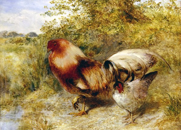 Baromfi a tájban alkotó: William Huggins