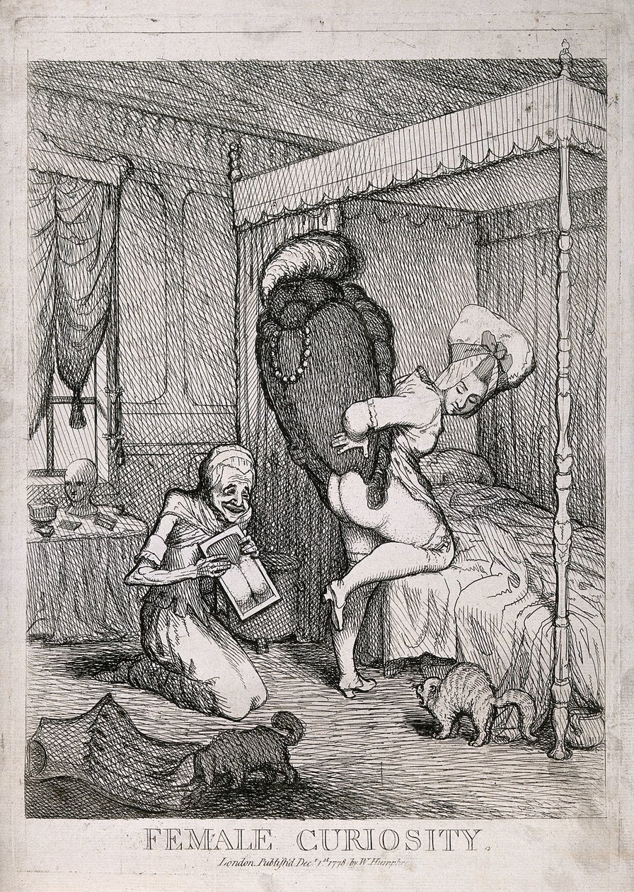 Női kíváncsiság alkotó: William Humphrey