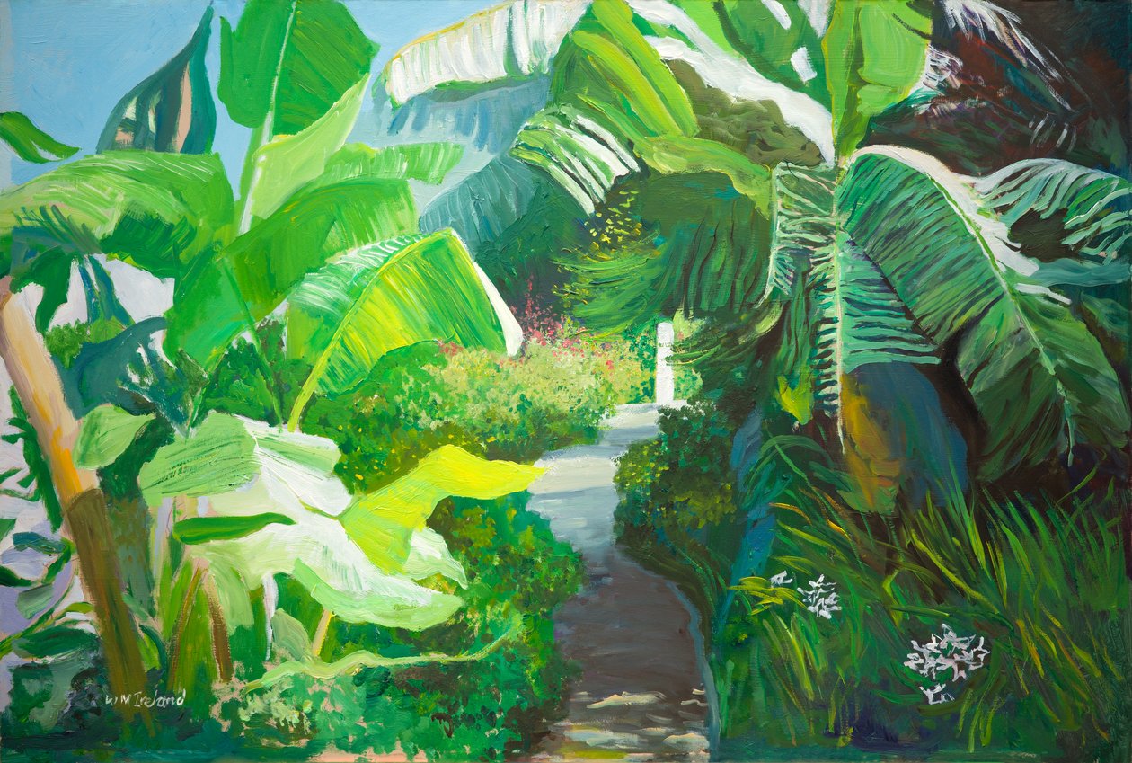 Morne Rouge, Grenada (olaj a fedélzeten) alkotó: William Ireland