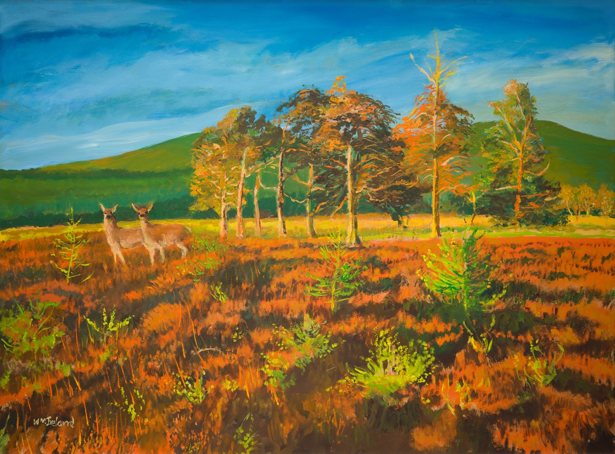 nem. Aviemore, Skócia (olaj a fedélzeten) alkotó: William Ireland