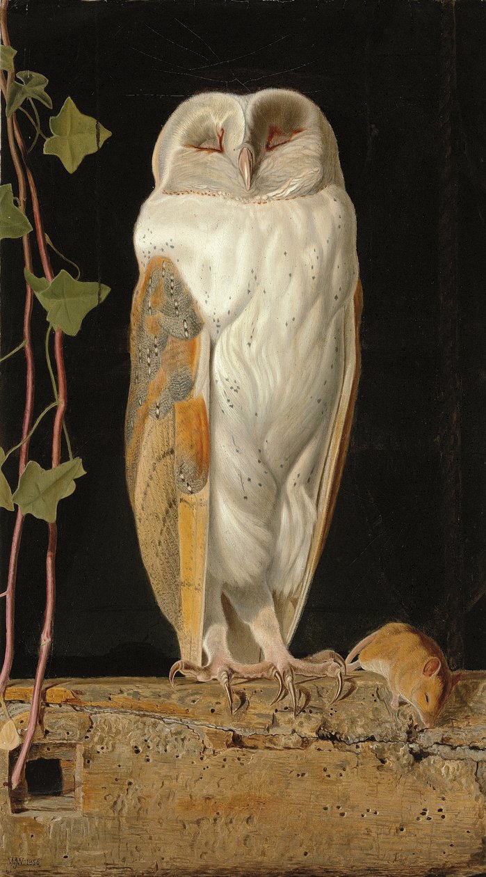 A fehér bagoly: "Egyedül és öt eszét melegítve ül a fehér bagoly a haranglábban", 1856 alkotó: William J. Webbe