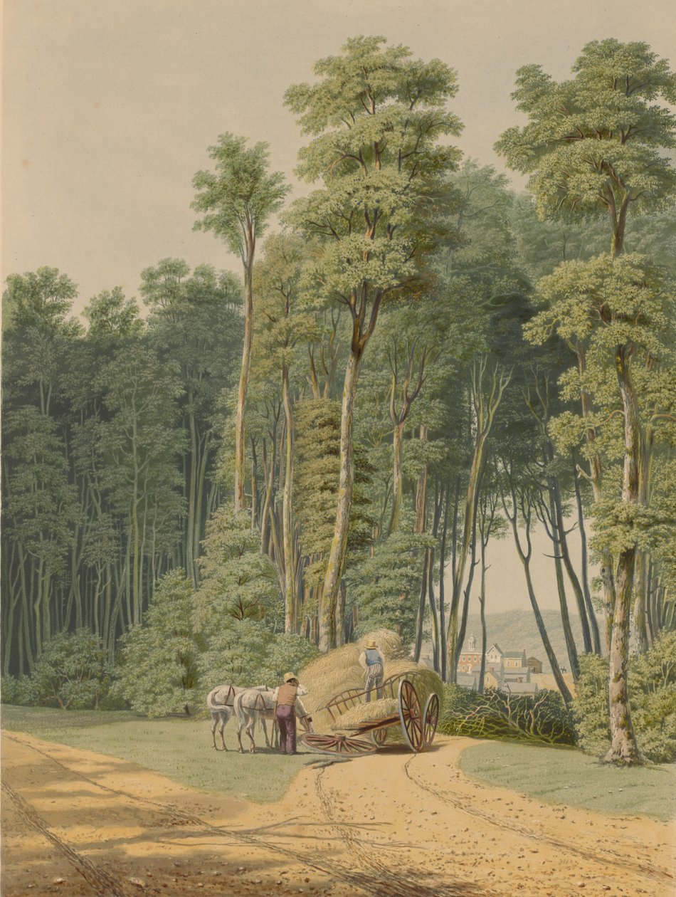 Nyár - Közúti baleset. Egy pillantás az Őserdő megnyitására... 1841. alkotó: William James Bennett