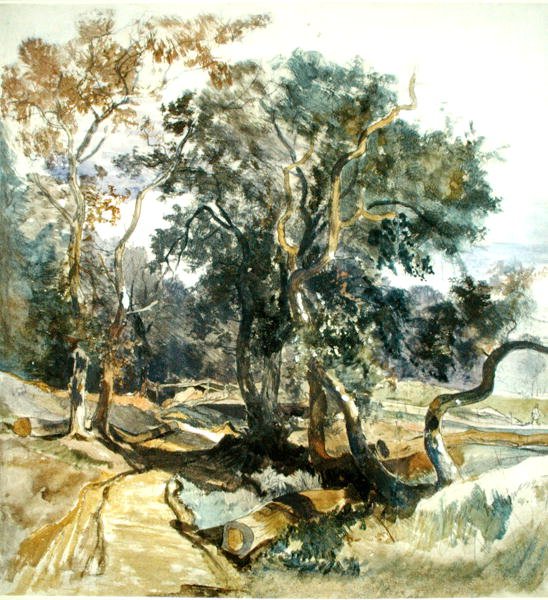 A Woodland Track (ceruza és akvarell papíron) alkotó: William James Muller