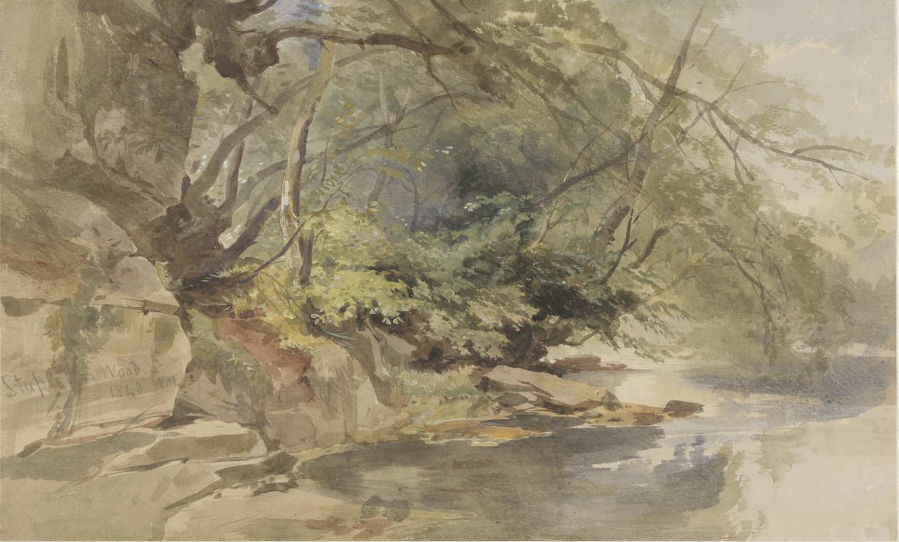 Kilátás Stapleton Woodban, Bristol közelében alkotó: William James Muller