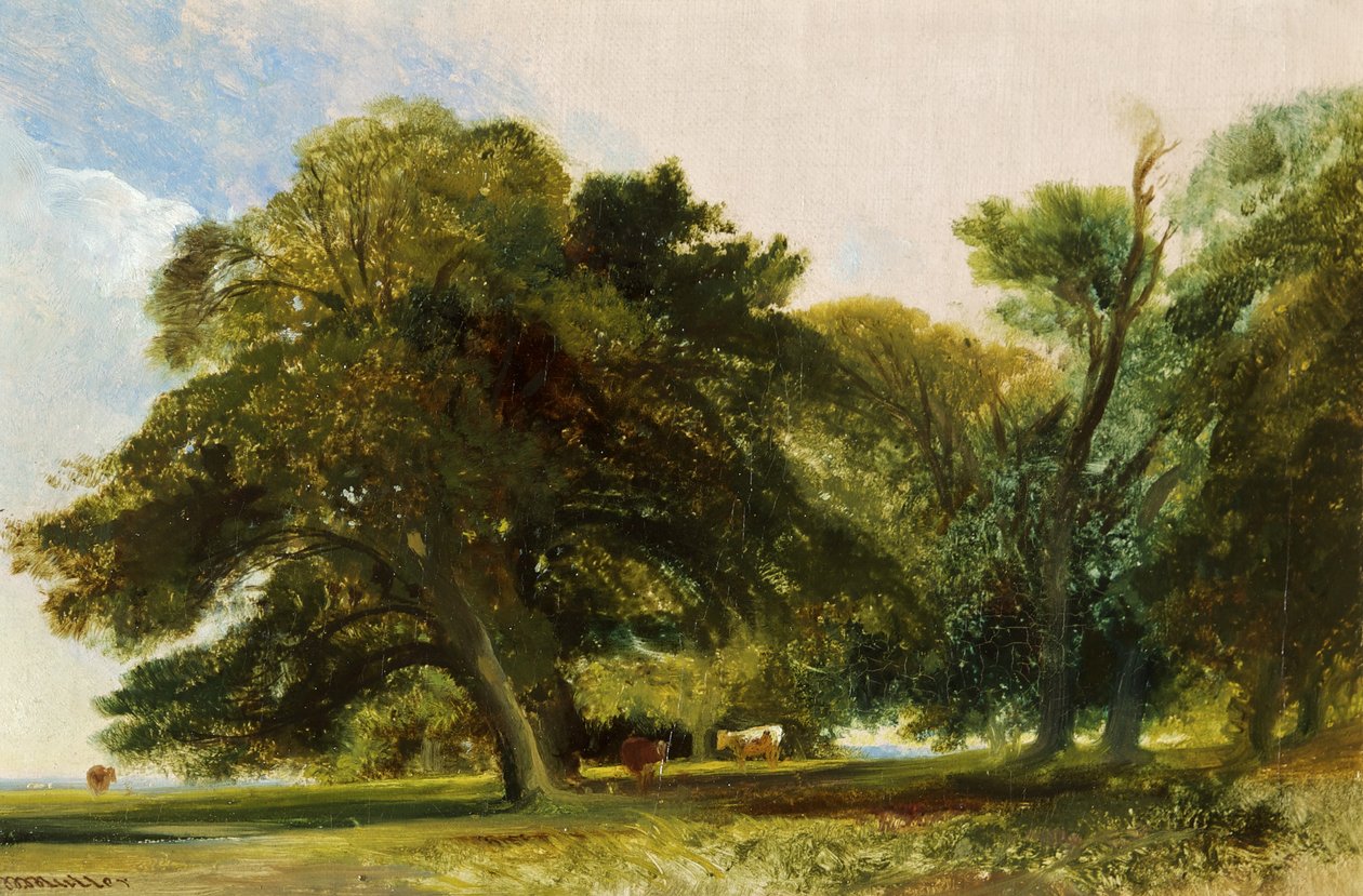 Kingsweston Park – Vázlat, 1833 körül (olaj, vászon) alkotó: William James Muller