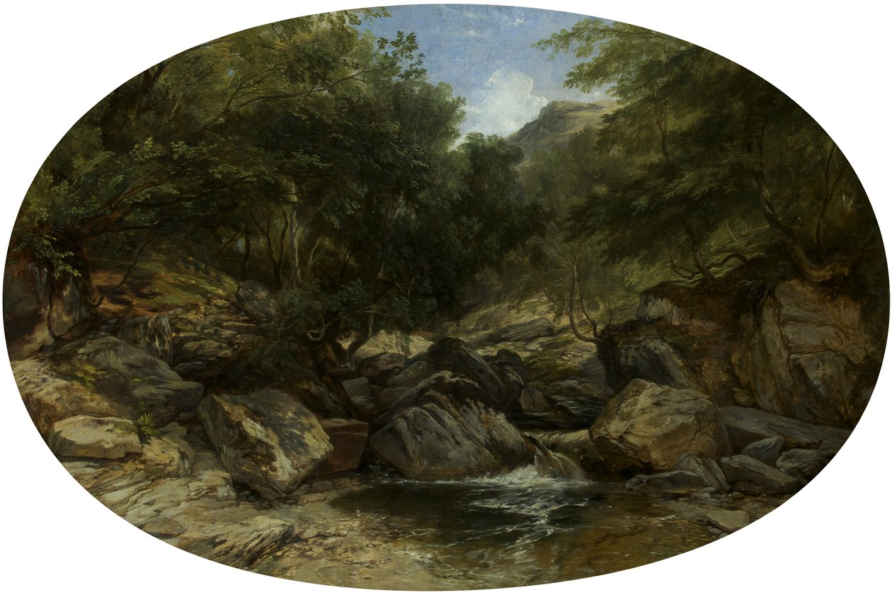 Rocky Stream Lynmouthban alkotó: William James Muller