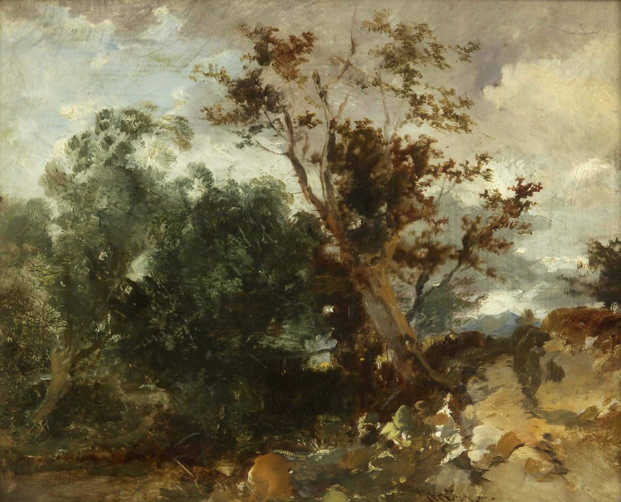 Study of Trees, 1840 körül (olaj, réz) alkotó: William James Muller