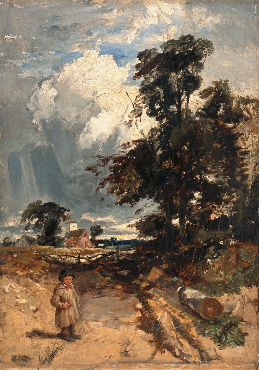 A közeledő vihar alkotó: William James Muller