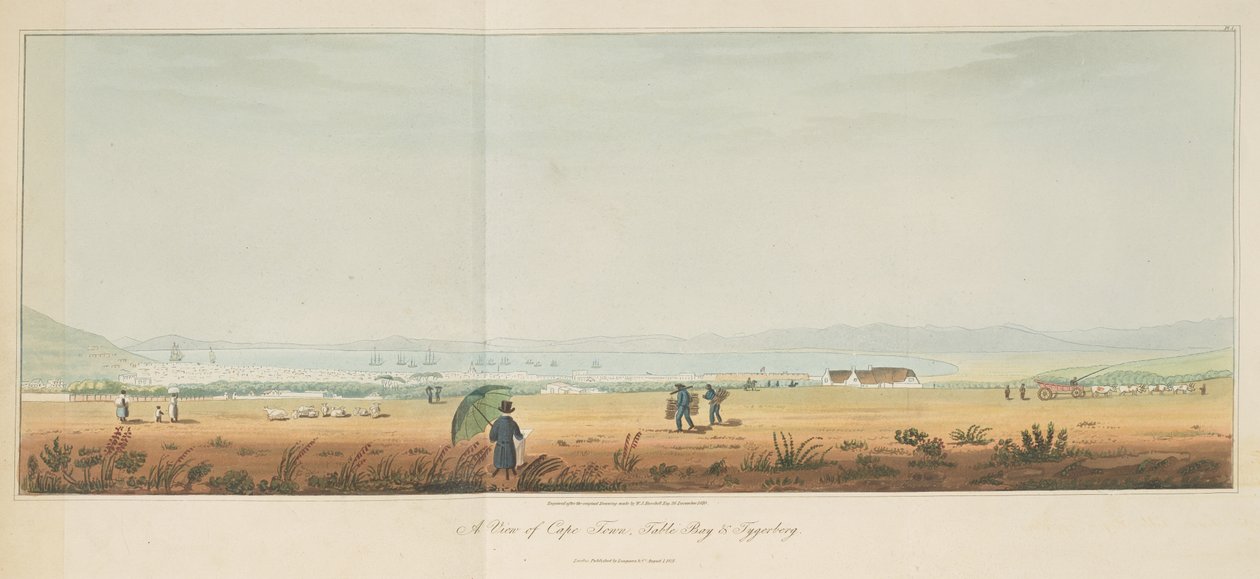Fokváros, Table Bay és Tygerberg kilátása a Travels in the Interior of Southern Africa című kötetből. 1 alkotó: William John (after) Burchell