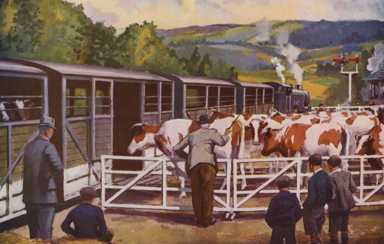  alkotó: William John Patton McDowell