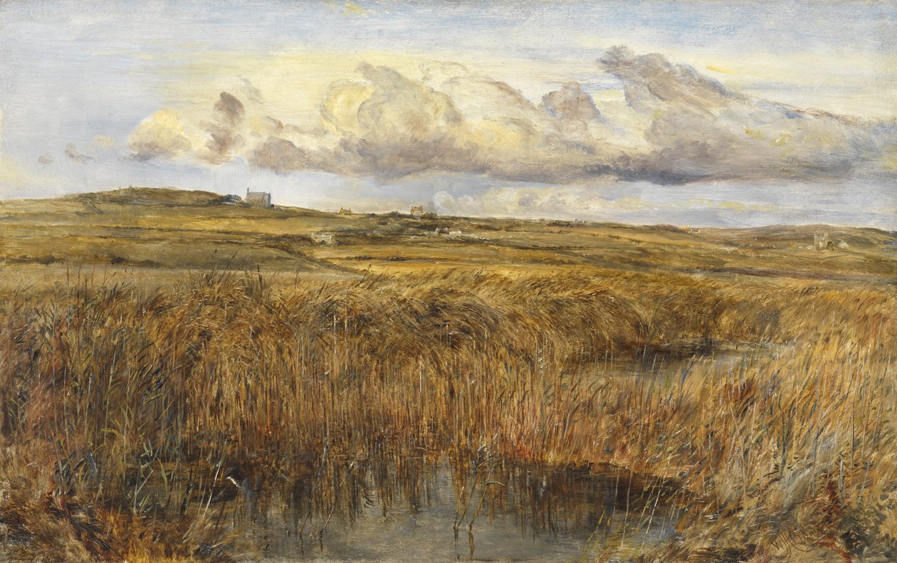 Rhoscolyn, Anglesey alkotó: William Joseph J.C. Bond