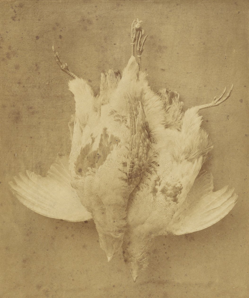 Szeptember elseje alkotó: William Lake Price