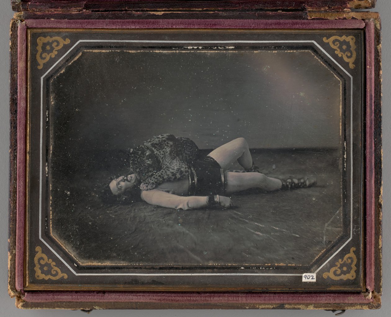 Jacob Driesbach vadszelídítő arcképe, Jaguárral, 1850 alkotó: William Langenheim