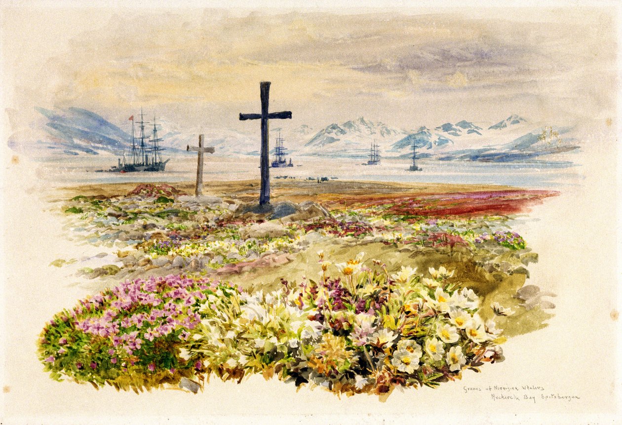 Search Bay (Research Bay, Tasmánia, Ausztrália), két kereszt virágágyásba ültetve, a távolban hajókkal. Akvarell alkotó: William Lionel Wyllie