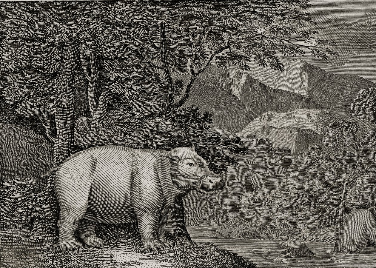 A Jóreménység fokának vízilója, az „Általános világnézet”, 1807 alkotó: William Marshall Craig