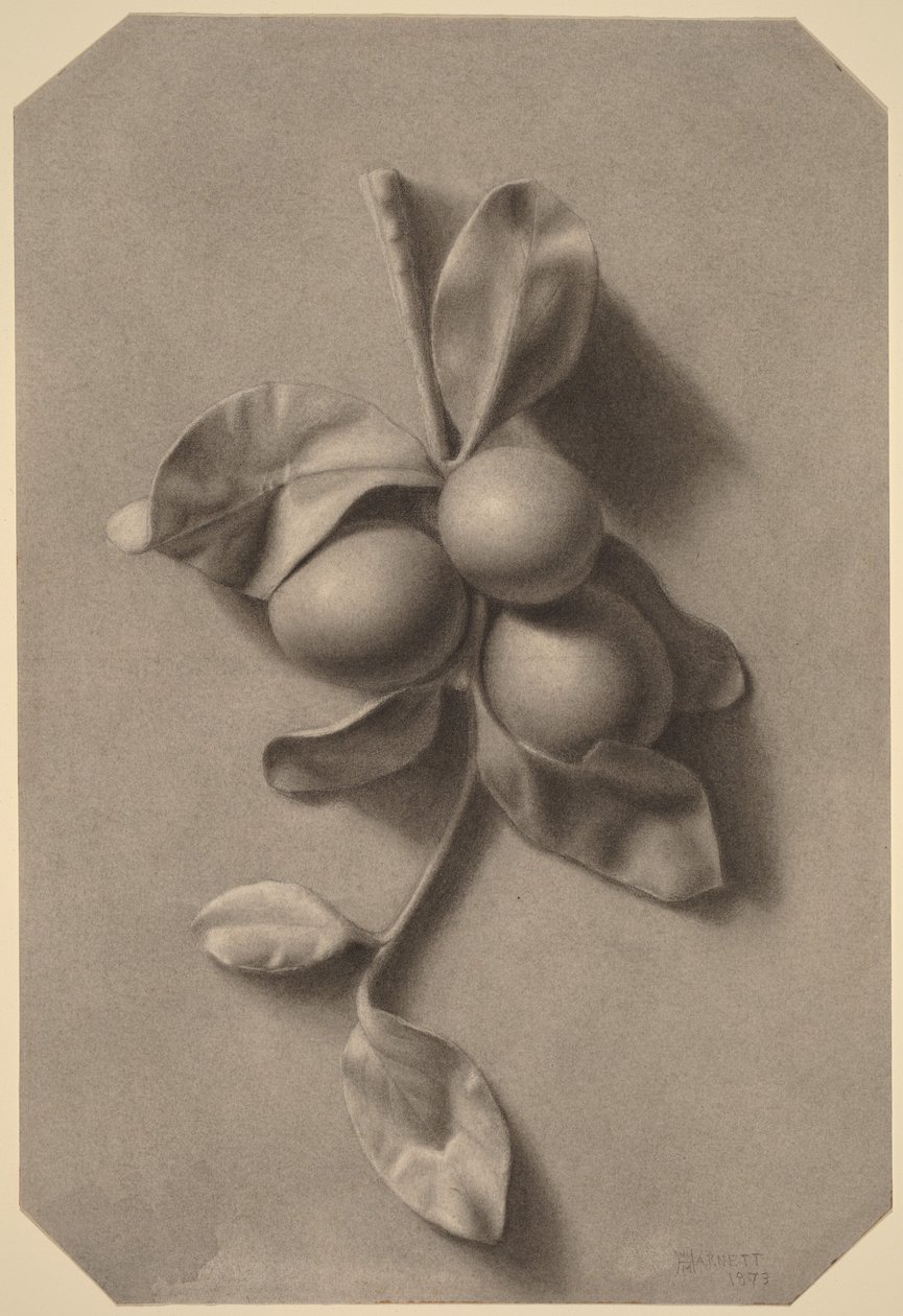 Egy ág szilvával alkotó: William Michael Harnett