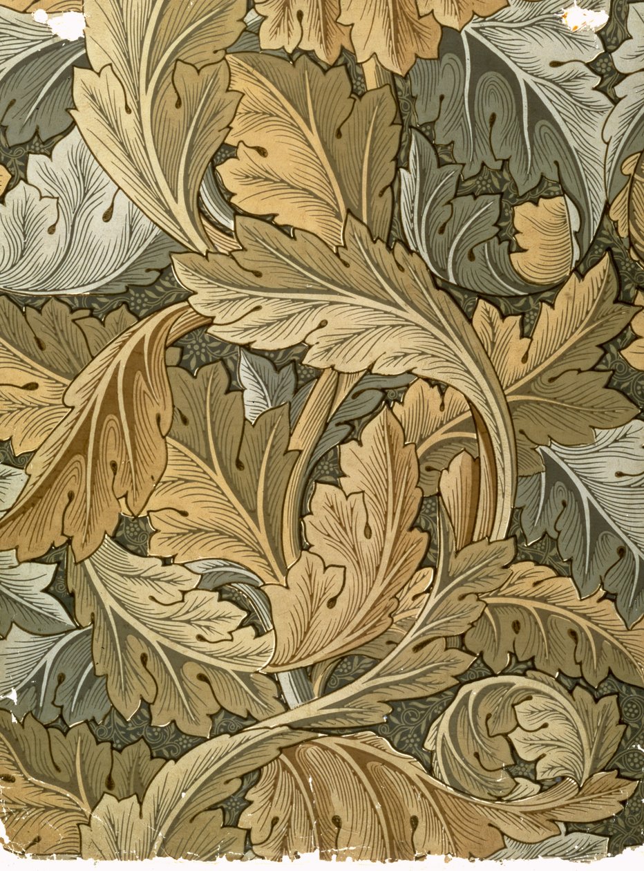 Acanthus tapéta, tervezte William Morris (1834-96), 1875 alkotó: William Morris