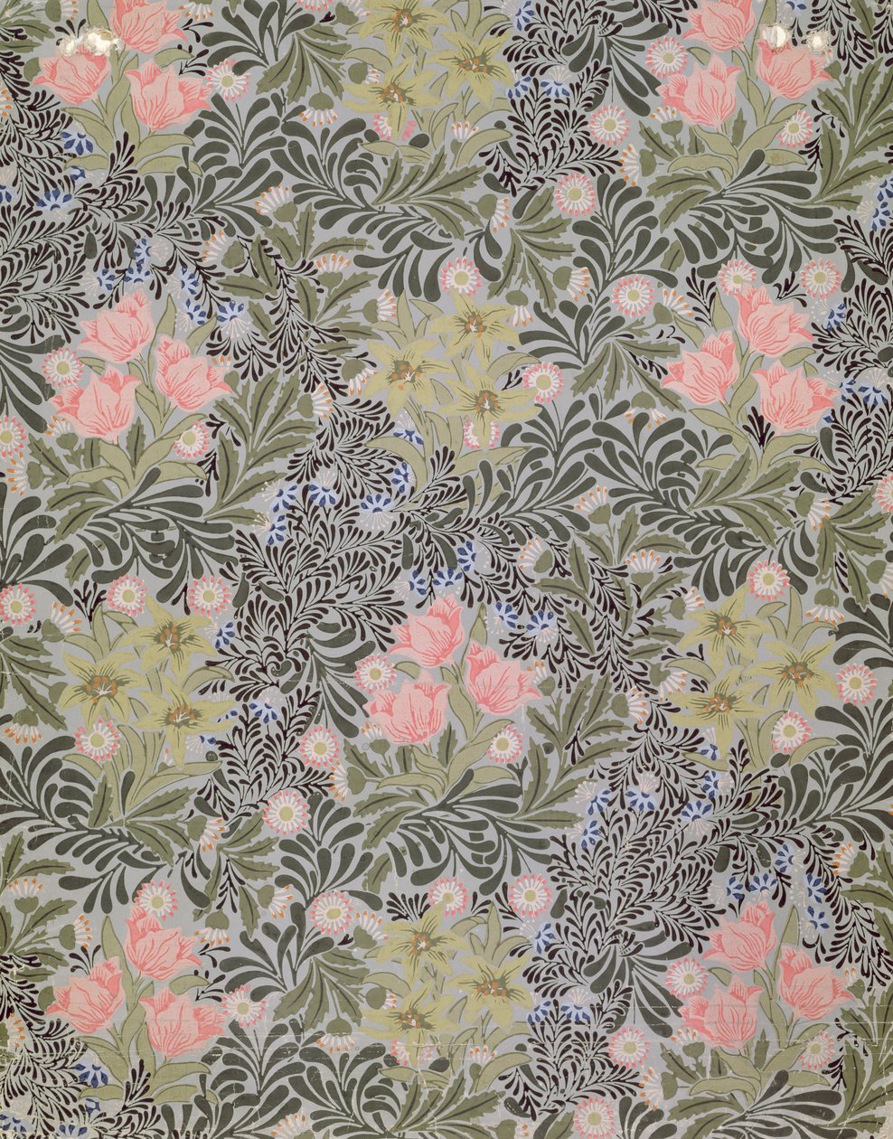 Tapéta design tulipánokkal, százszorszépekkel és loncsal (tapéta) alkotó: William Morris