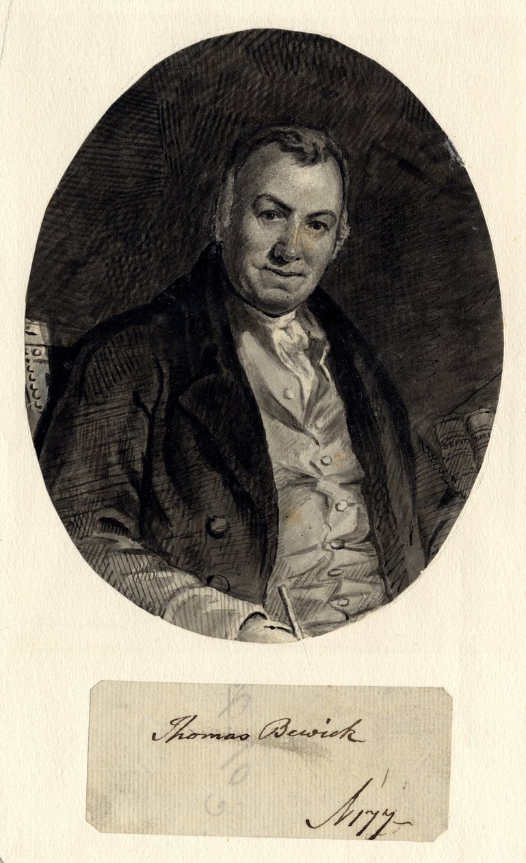 Thomas Bewick portréja (tinta papírra (papírra ragasztva)) alkotó: William Nicholson