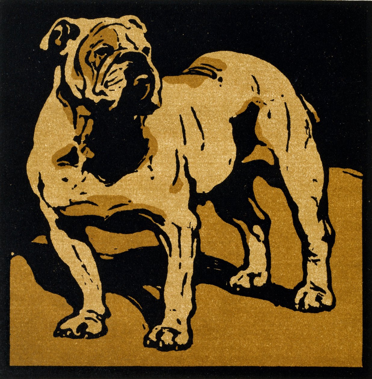 The British Bull-Dog, a 