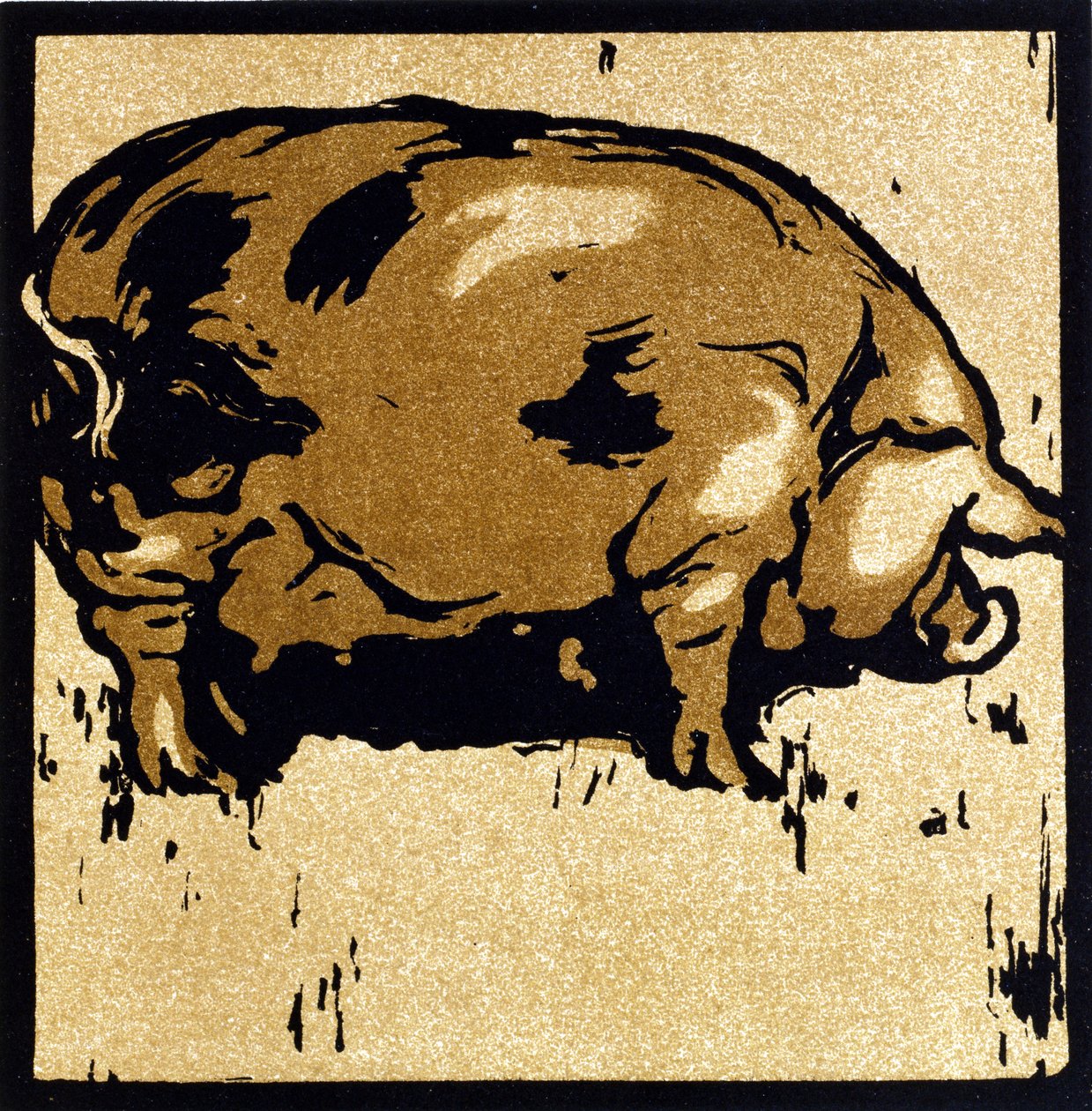 A tanult disznó, a "The Square Book of Animals"-ból, William Heinemann kiadásában alkotó: William Nicholson