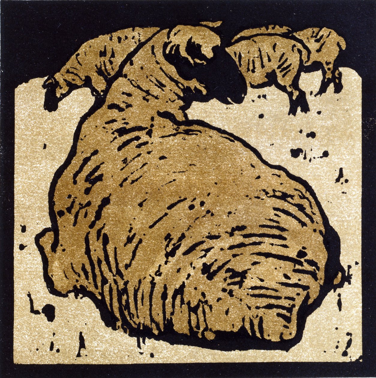 Az egyszerű bárány, illusztráció a „The Square Book of Animals”-ból, William Heinemann kiadásában alkotó: William Nicholson