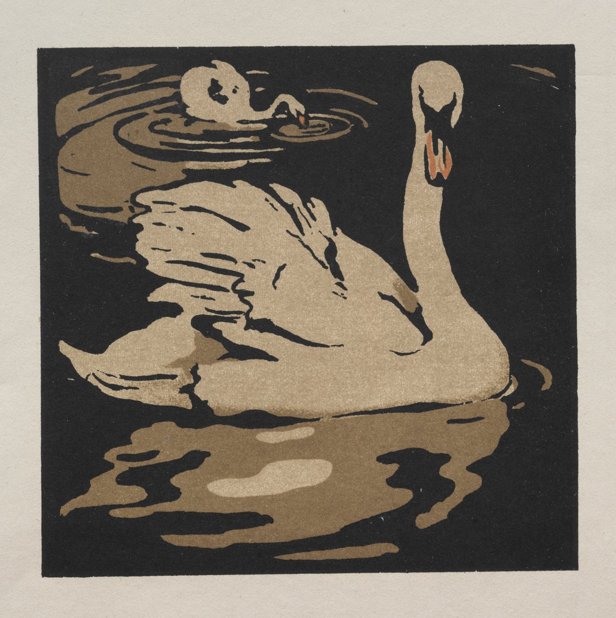 Az állatok négyzet alakú könyve: A gyönyörű hattyú alkotó: William Nicholson