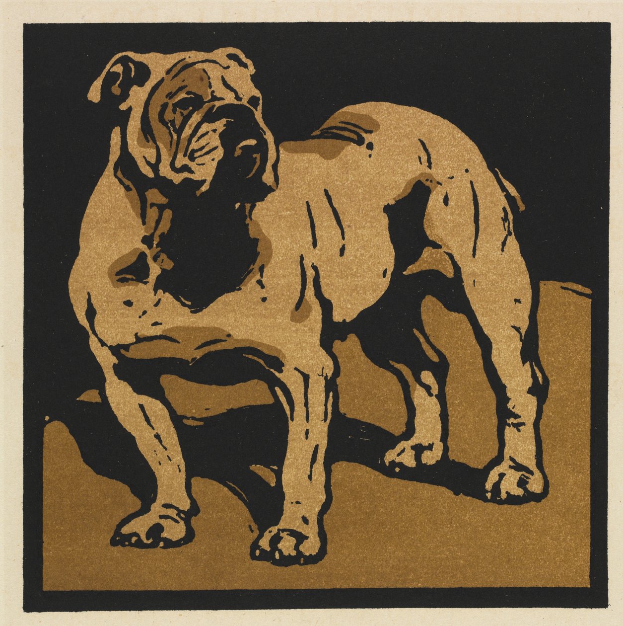 The Square Book of Animals: The British Bull-Dog alkotó: William Nicholson