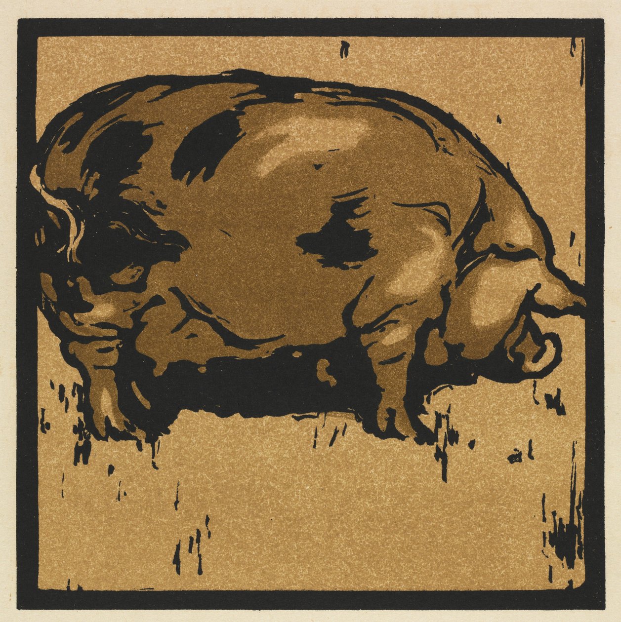 Az állatok négyzetes könyve: A tanult disznó alkotó: William Nicholson