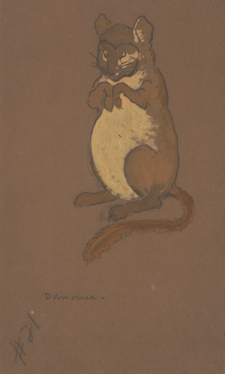 Dormouse jelmeztervezés Alice-in-Wonderland számára, 1915. alkotó: William Penhallow Henderson