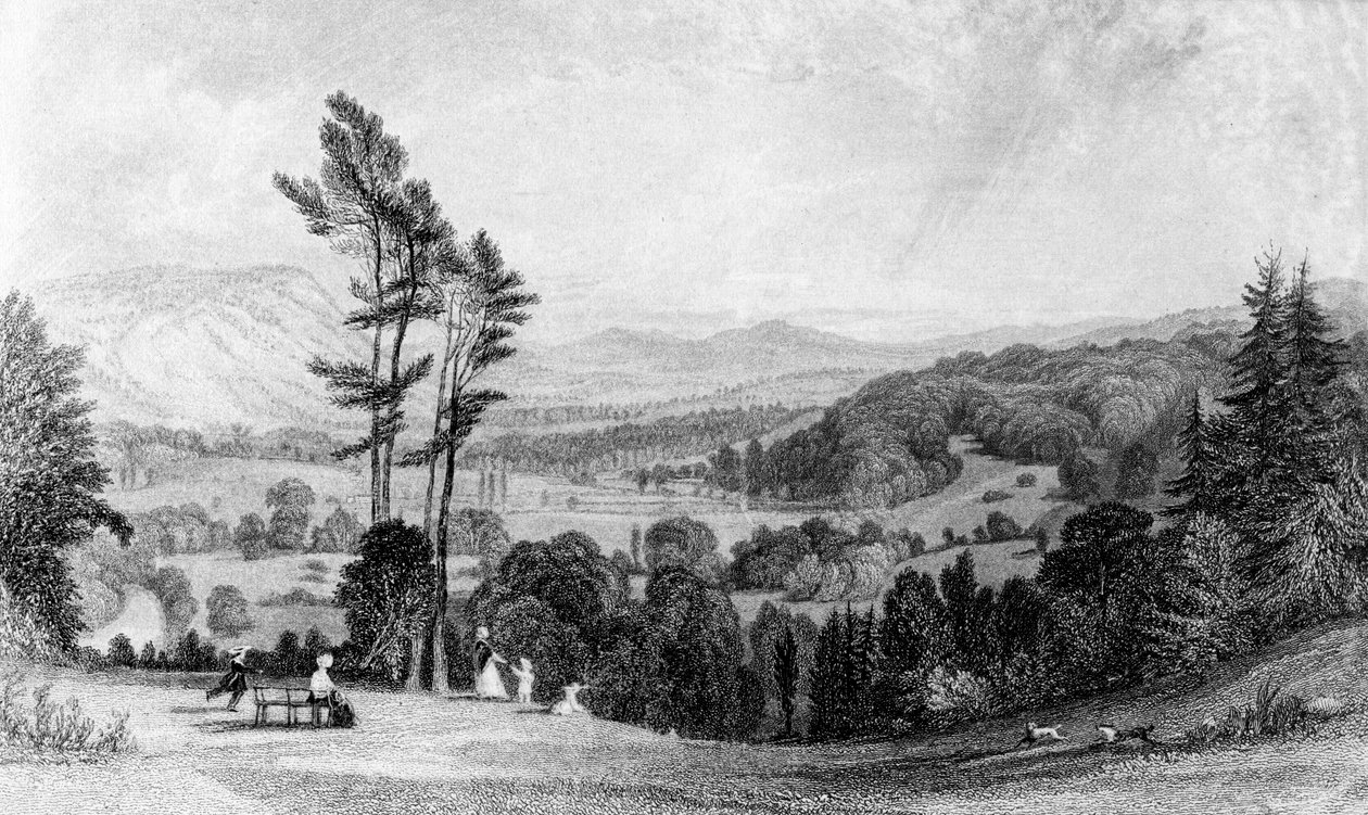Kilátás Norburyből, Surrey, 19. század. alkotó: William Radclyffe