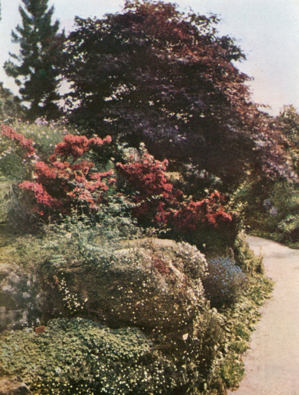  alkotó: William Ransford