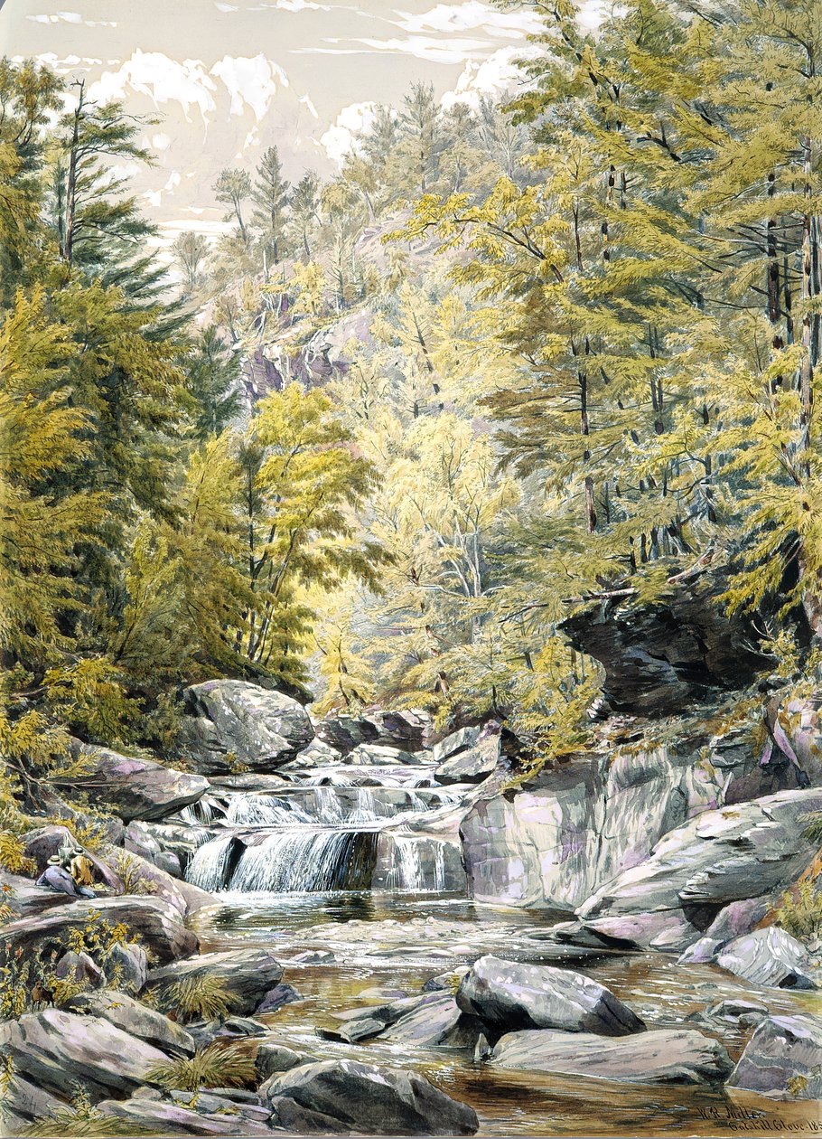 Catskill szegfűszeg, 1856. alkotó: William Rickarby Miller