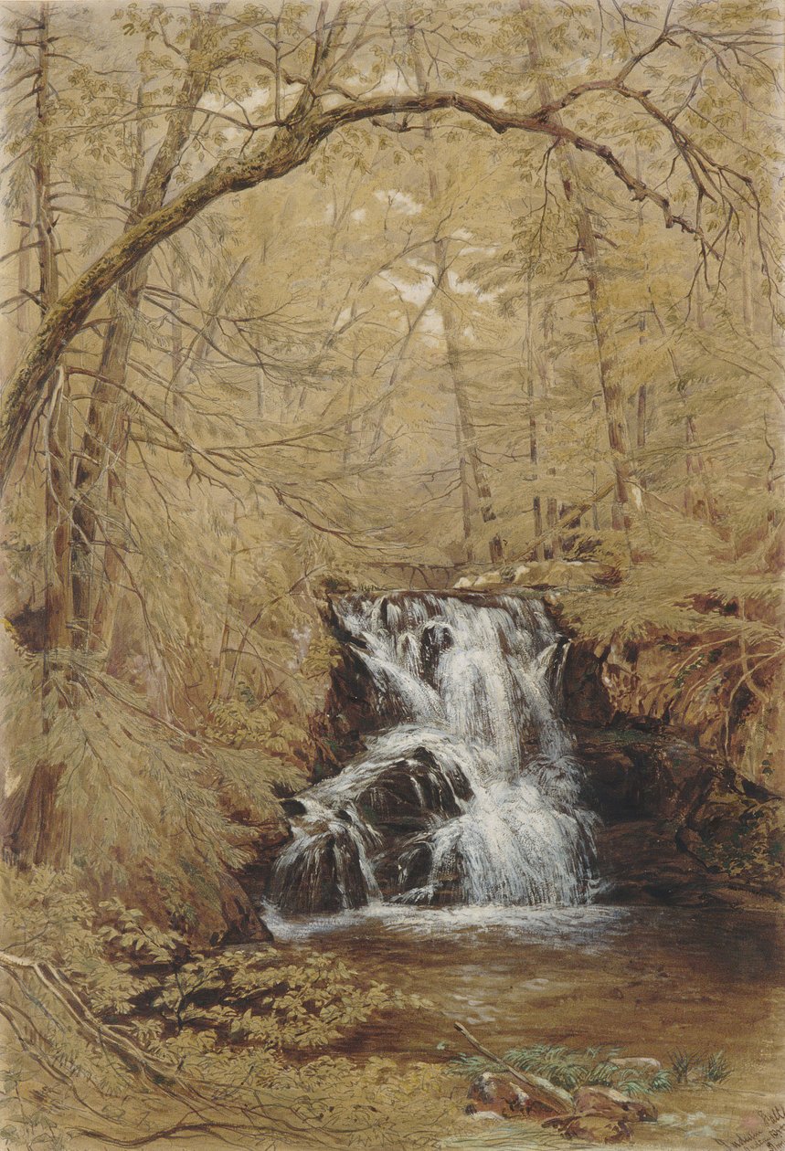 Indian Falls, Indian Brook, Cold Springs, New York, 1850. alkotó: William Rickarby Miller