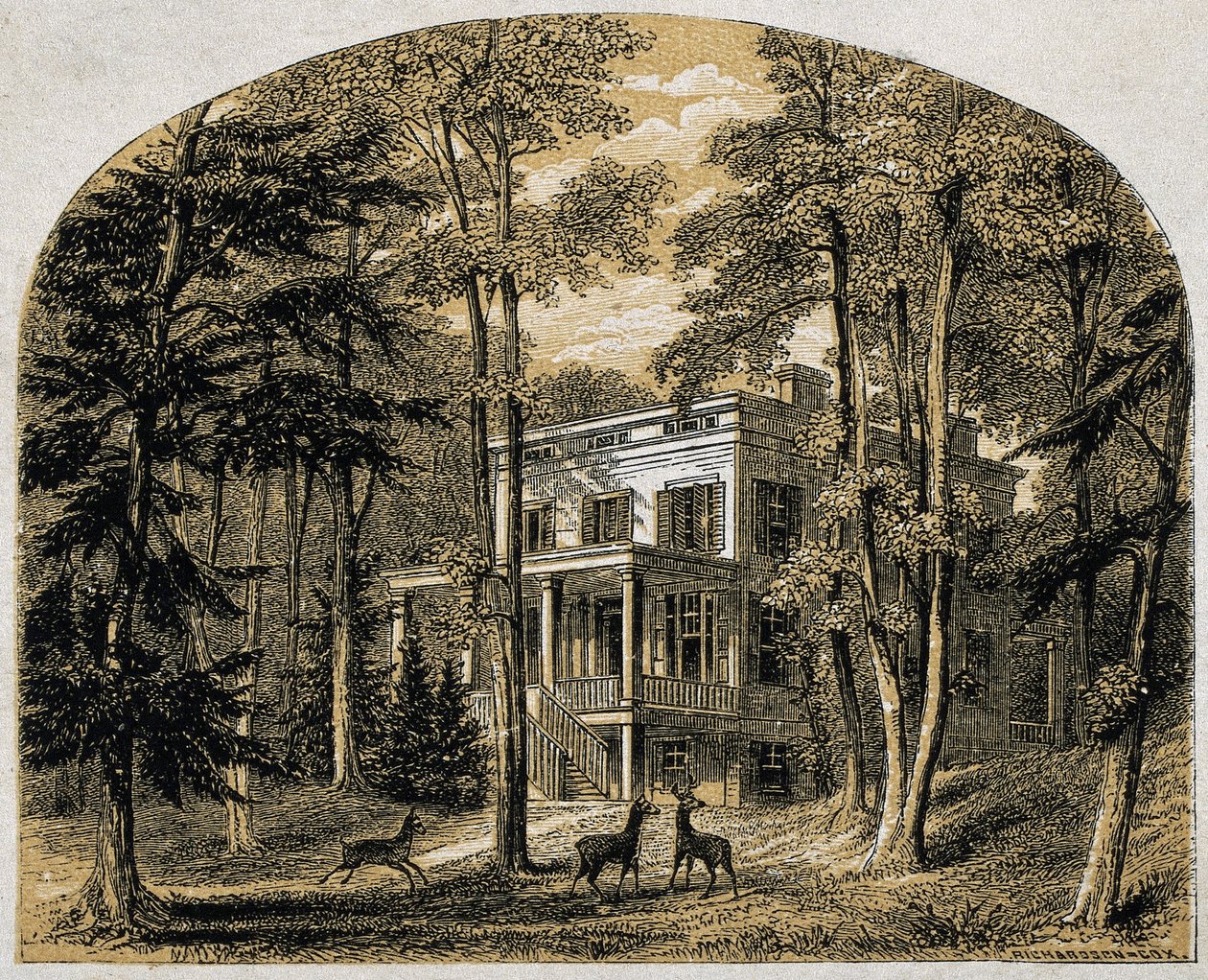 James John Audubon otthona "Minniesland", pub. C 1861 (fametszet) alkotó: William Rickarby Miller