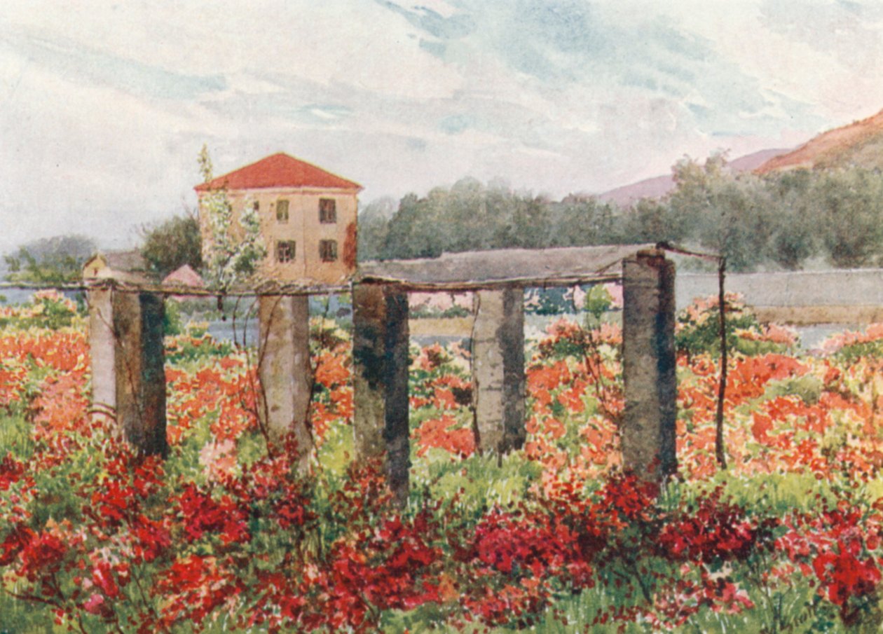  alkotó: William Scott