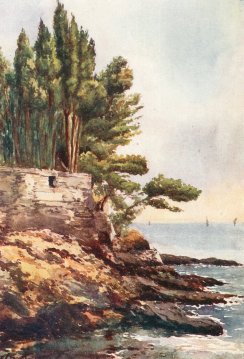  alkotó: William Scott