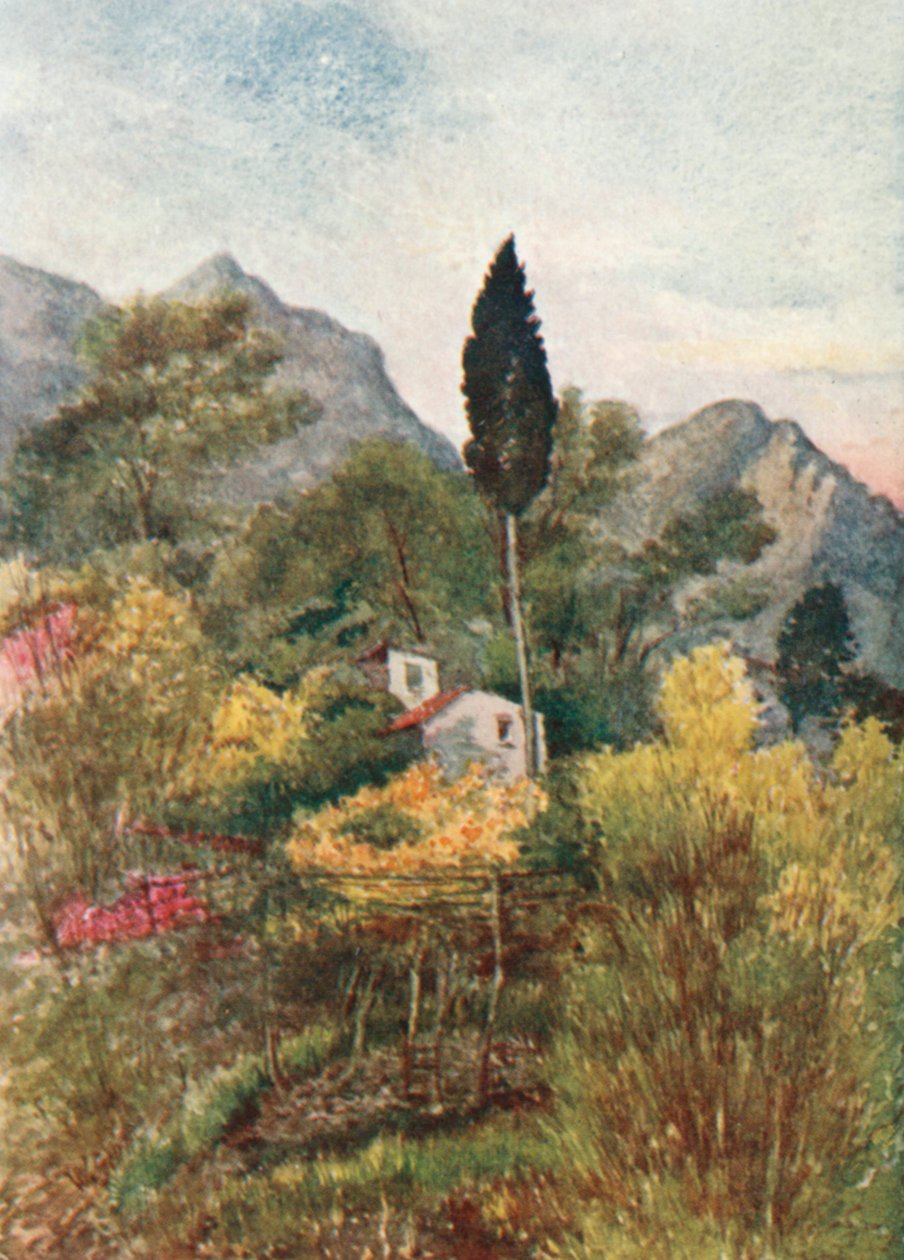  alkotó: William Scott