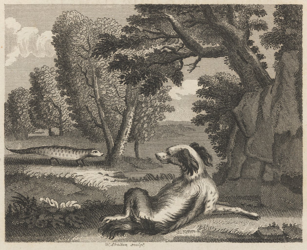 A spániel és a kaméleon alkotó: William Skelton