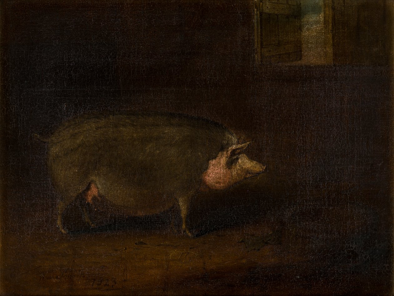 Disznó a styánban, 1823 körül (olaj, vászon) alkotó: William Smith