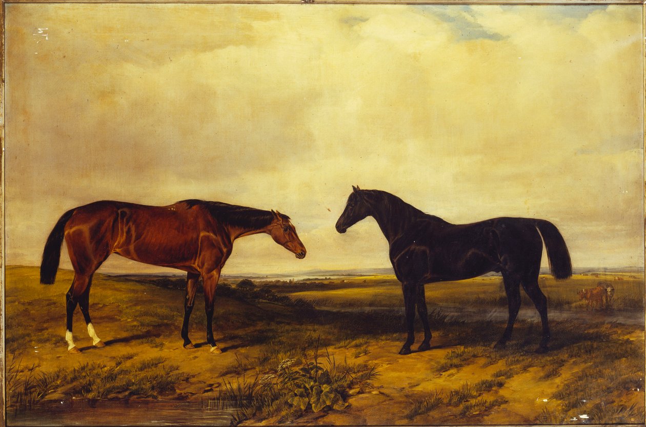 Granard grófjának fényes öböli csókája és sötét öböli ménje, 1885 alkotó: William Snr. Luker