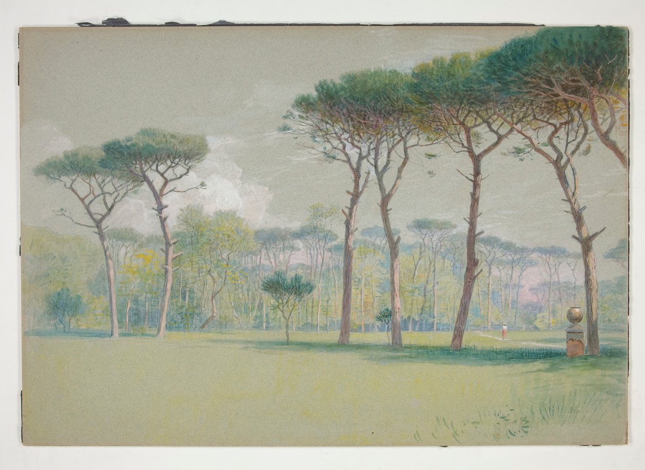 Castel Fusano: Táj - hatalmas pázsit és fák alkotó: William Stanley Haseltine