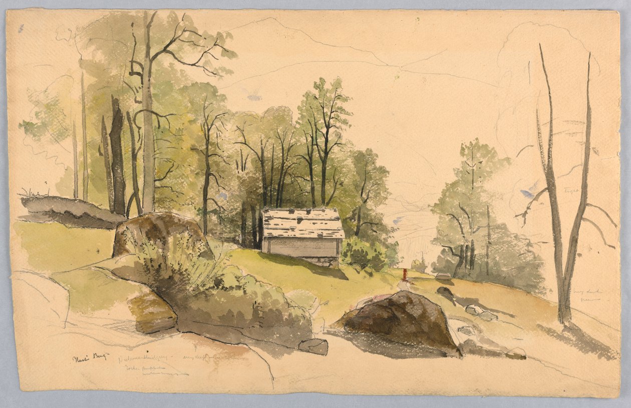 Tanulmány tájképhez, Hasliberg, Svájc alkotó: William Stanley Haseltine