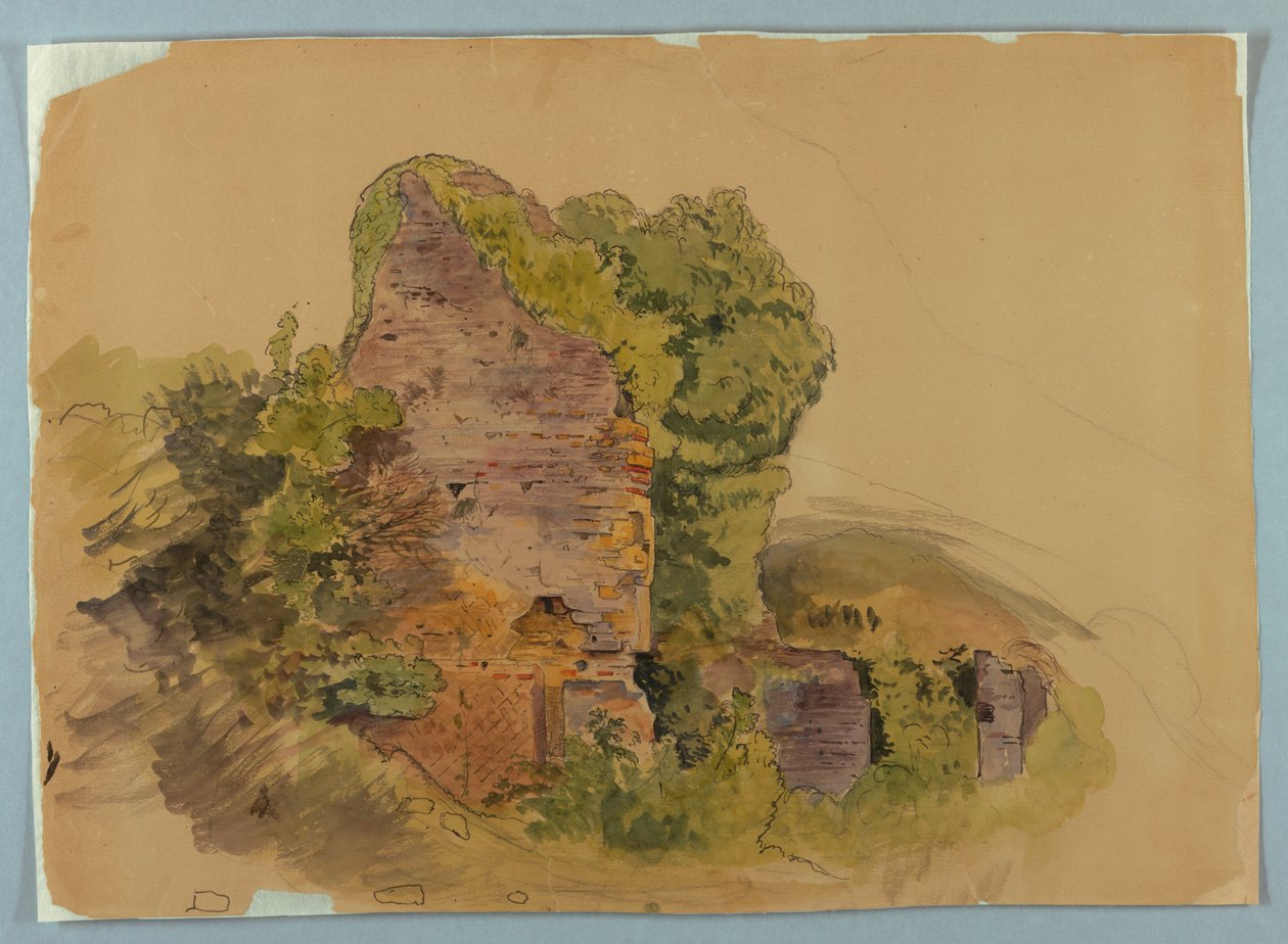 Toronybázis, Erdő romjainak vázlata alkotó: William Stanley Haseltine