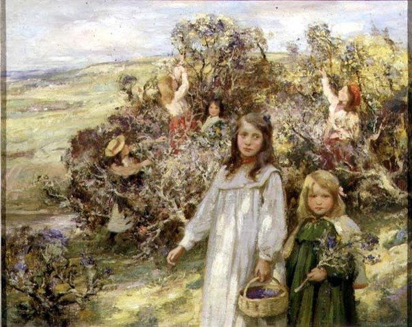 Szeder gyűjtése (olaj, vászon) alkotó: William Stewart MacGeorge