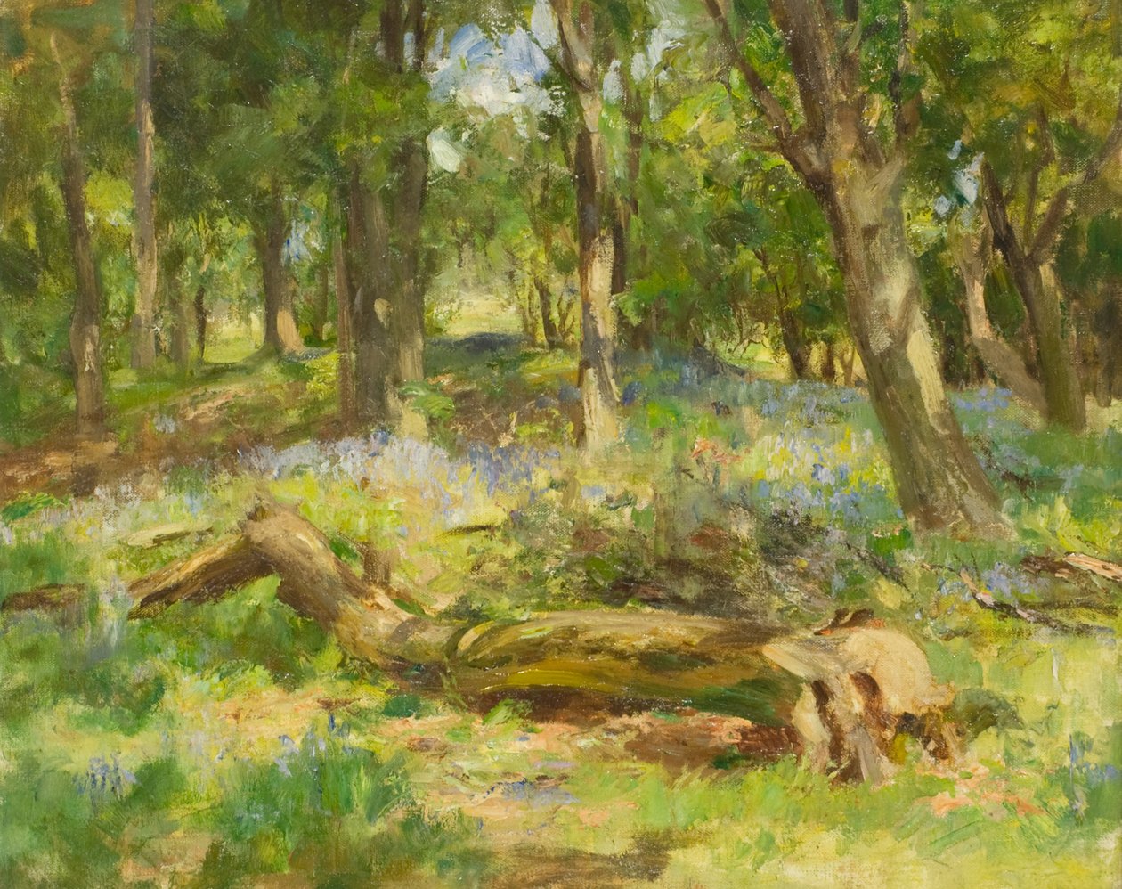 Erdői jelenet (olaj, vászon) alkotó: William Stewart MacGeorge