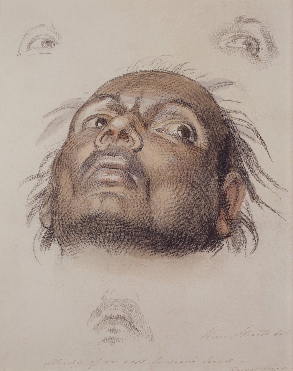Tanulmány egy kelet-indiai fejről, 1875 körül (kréta és mosószer papíron) alkotó: William Strutt